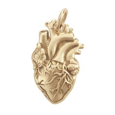 This bronze charm features an anatomically detailed heart design with intricate, dimensional details that give it a life-like look. Create an earring drop or add it to more complex necklace and bracelet designs made with chain and cord. The back of the charm is hollow, making it lightweight and easy to wear. The bronze material provides the look of yellow metal at an affordable price, perfect for fashion jewelry. A closed ring (.127” ID) is included, making it easy to string the charm onto cord Tools Jewelry, Anatomical Heart, Necklace And Bracelet, Jewelry Business, Rio Grande, Pretty Jewellery, Jewelry Making Supplies, Heart Design, Bracelet Designs