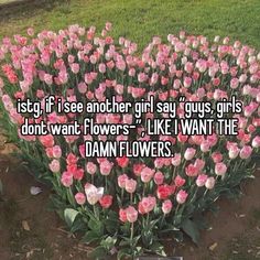 flowers that are in the ground with text saying, just if i see another girl say guys