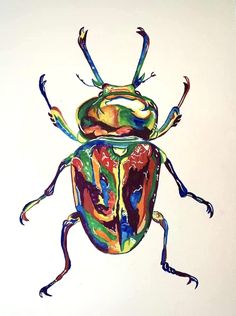 a drawing of a colorful beetle on a white background