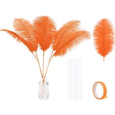 an orange feather arrangement in a vase next to a pair of headbands and some feathers