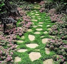 a stone path in the middle of a garden