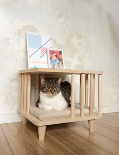 a cat is sitting in a small wooden shelf on the floor next to a wall