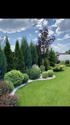 a lush green lawn surrounded by trees and bushes