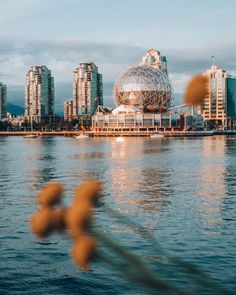 a body of water with buildings in the background