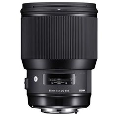 the lens on a white background