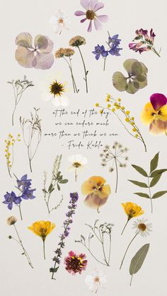 an image of flowers with the words, there is only one way to grow them