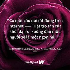 Tôi đang đọc [BHTT] [EDIT] [Hoàn] Nàng Là Đệ Tam Tuyệt Sắc - Thiên Tại Thủy trên #Wattpad #tiểuthuyếtchung. Wattpad Frases, Yuuri Katsuki, Jess Mariano, One Friend, Quotes And Poems, Never Forget You, Sharing Quotes, Game Pictures