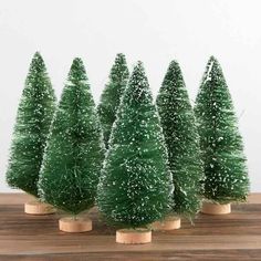 small green trees sitting on top of a wooden table