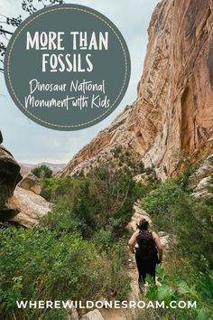 a person hiking up a trail with text overlay reading more than fossils dinosaur national monument with kids