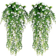 two white flowers hanging from the side of a wall next to each other on top of green leaves