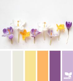 the color scheme is white, yellow, purple and orange with flowers on each side