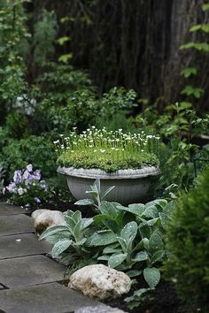 a planter filled with lots of green plants sitting on top of a stone walkway