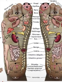 Home Body Weight Workout, Human Body Anatomy, Quick Workout Routine