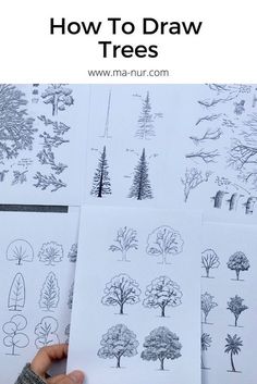 Complete Trees Drawing Course - Fundamentals + step-by-step videos of process + downloadable files How To Draw Mountains Landscapes, How To Draw Trees, Trees Drawing Tutorial, Drawing Mountains, Shadow Architecture, Draw Trees, Trees Drawing, Shadow Tree