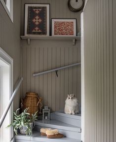 there is a cat sitting on the stairs in this house, looking at something interesting