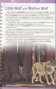 a book with an image of two wolfs in front of a tree and the title, little wolf and mother wolf