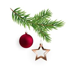 a christmas ornament hanging from a tree branch with a red bauble