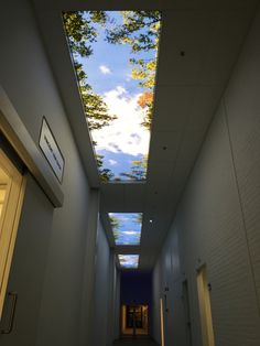 an empty hallway with a skylight in the center and trees on the ceiling above