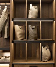 the closet is full of bags and purses, all lined up on wooden shelves