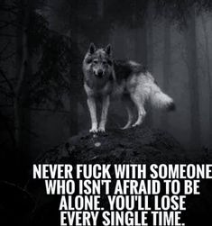 Wolf Mentality, Lup Singuratic, The Lone Wolf, Wolf Life, Lone Wolf, A Wolf