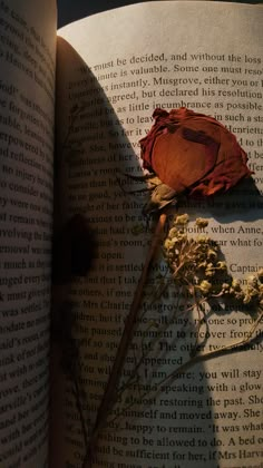 an open book with a dried flower on it