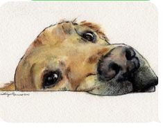 a drawing of a dog laying down with its head on the ground and eyes open