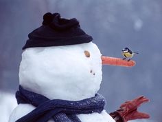 a snowman with a carrot sticking out of it's nose and a bird perched on top of it