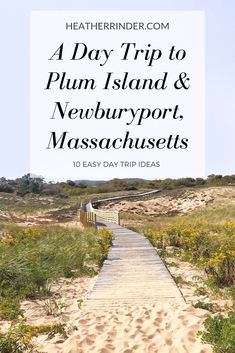 a path leading to the beach with text overlay that reads a day trip to plum island and newburyport, massachusetts