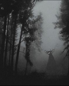 a black and white photo of a deer in the woods at night with fog coming from its antlers