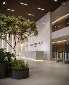 an office lobby with planters on the floor