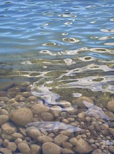 the water is crystal clear and has rocks in it