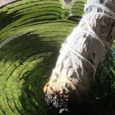 an object wrapped in plastic sitting on top of a green bowl filled with water and grass