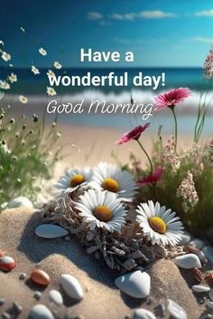 some flowers and rocks on the beach with words have a wonderful day good morning