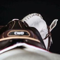 a close up of a horse's bridle and saddle