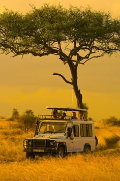 two people are sitting on the roof of a safari vehicle under a tree in africa