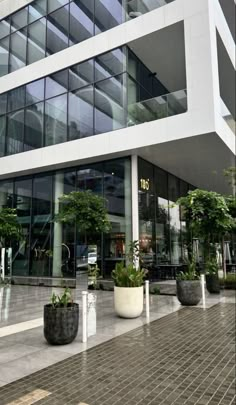 an office building with many windows and plants on the sidewalk in front of it's entrance