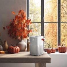 Air Purifier in fall setting