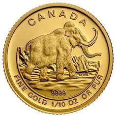 a gold coin with an image of a woolly mammoth