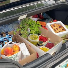 the trunk of a car filled with food and drinks