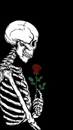 a skeleton holding a rose in its hand