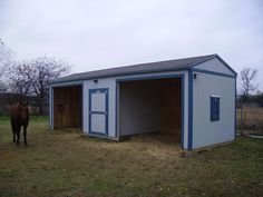 a horse standing in the grass next to a blue and white shed with its door open