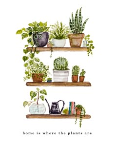 two shelves filled with potted plants on top of each other and the words crazy plant lady