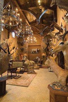 a room filled with taxidermy and deer heads