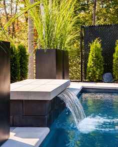 a small pool with water running from it and some plants in the backround