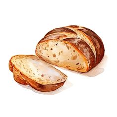 watercolor painting of sliced bread on white background