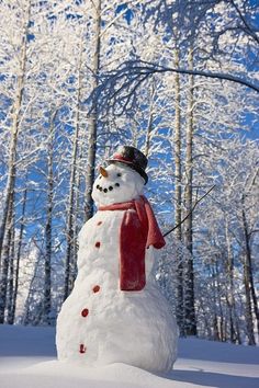 a snowman with a red scarf and hat standing in the snow next to trees