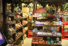 a store filled with lots of different types of items and plants in it's shelves