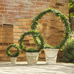 three potted plants in front of a brick wall with a heart shaped planter