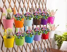 multicolored flower pots are hanging on the wall