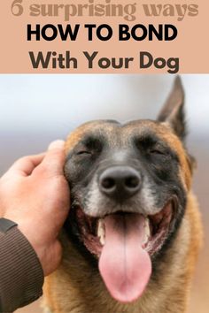 a person petting a dog with the words, 6 surprising ways how to bond with your dog